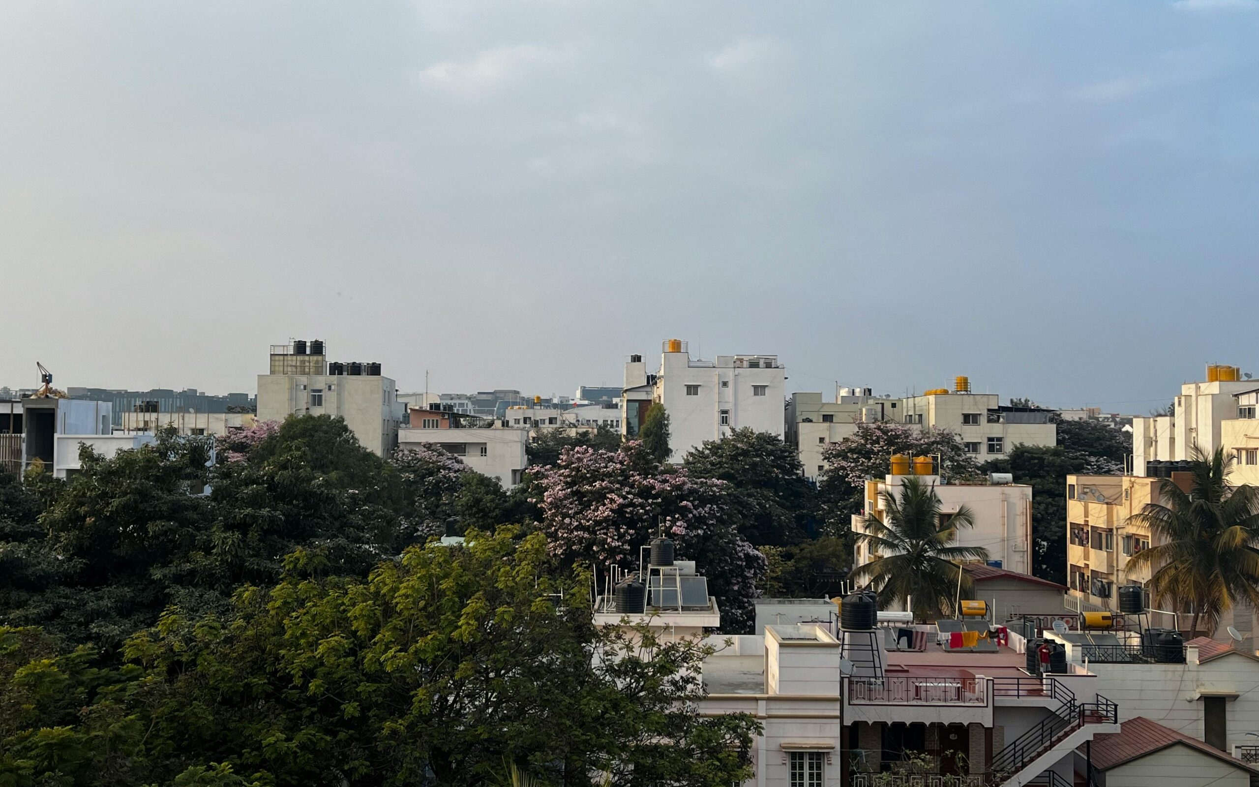 pexels-yash-kanbargi-179325206-15223780
